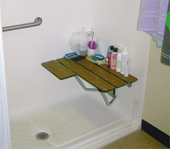 A view of the shower with handrail and seat.